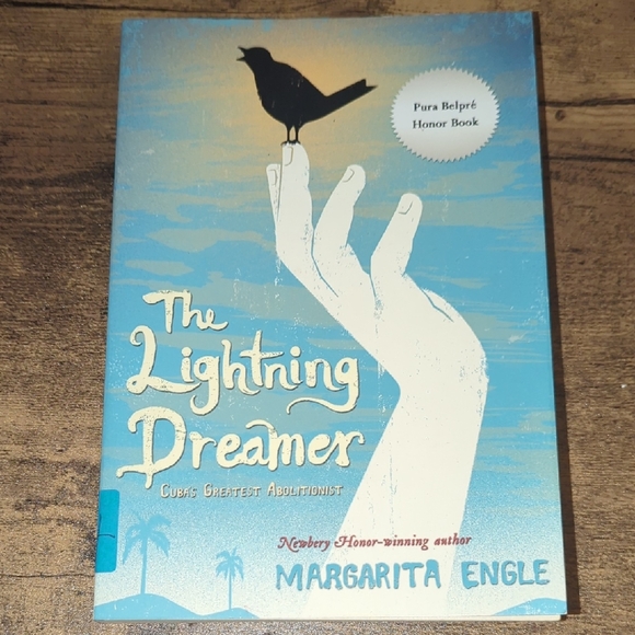 Other - The Lightning Dreamer Book